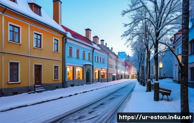 에스토니아에서 거주하는 외국인 인터뷰 - A serene urban scene in Tallinn, Estonia, during winter, showing a calm street lined with modern apa...